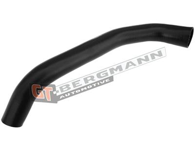 GT BERGMANN GT52-282 EAN: 5907764518350.