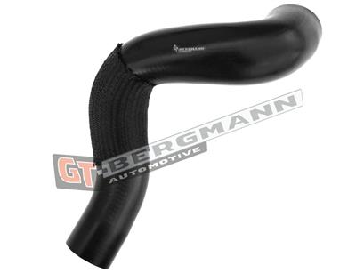 GT BERGMANN GT52-283 EAN: 5907764518367.