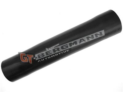 GT BERGMANN GT52-288 EAN: 5907764518411.