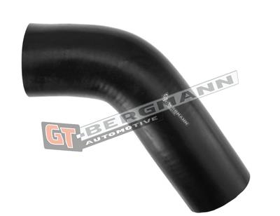 GT BERGMANN GT52-289 EAN: 5907764518428.