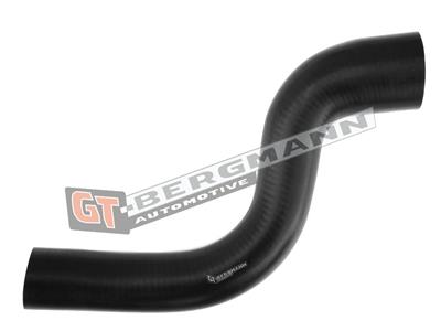 GT BERGMANN GT52-256 EAN: 5907764517650.