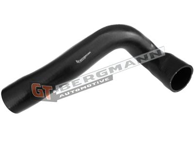 GT BERGMANN GT52-298 EAN: 5907764518510.