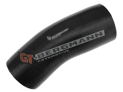 GT BERGMANN GT52-299 EAN: 5907764518527.