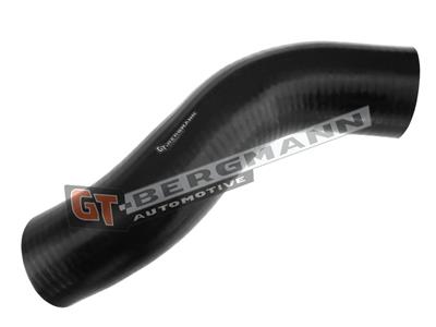 GT BERGMANN GT52-308 EAN: 5907764518619.