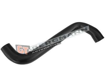 GT BERGMANN GT52-308 EAN: 5907764518619.