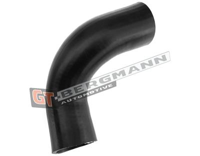 GT BERGMANN GT52-320 EAN: 5907764518732.
