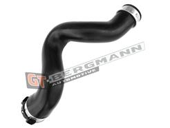 GT BERGMANN GT52-329