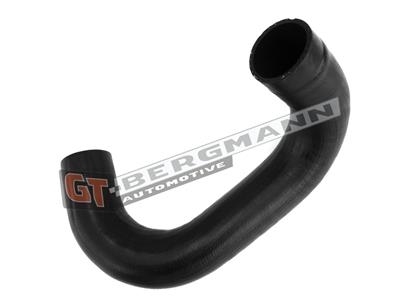 GT BERGMANN GT52-350 EAN: 5907764519500.