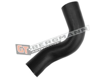 GT BERGMANN GT52-365 EAN: 5907764519654.