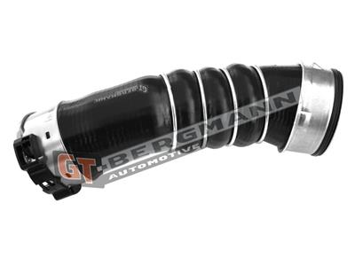 GT BERGMANN GT52-295 EAN: 5907764518480.