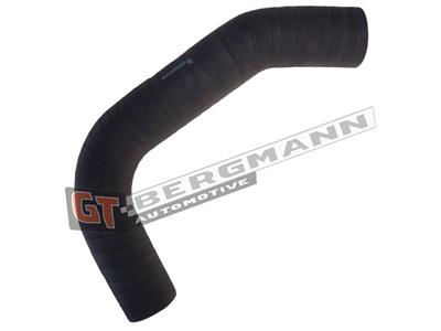GT BERGMANN GT52-424 EAN: 5907764510378.