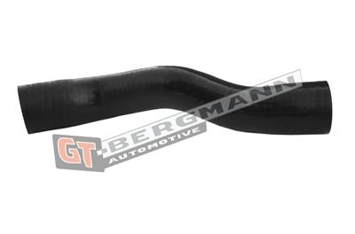 GT BERGMANN GT52-315 EAN: 5907764518688.