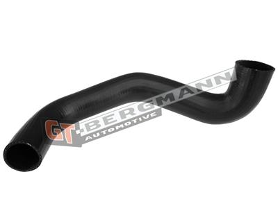GT BERGMANN GT52-320 EAN: 5907764518732.