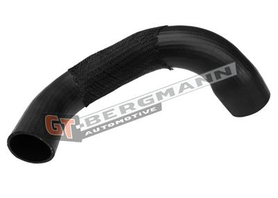 GT BERGMANN GT52-446 EAN: 5907764523880.