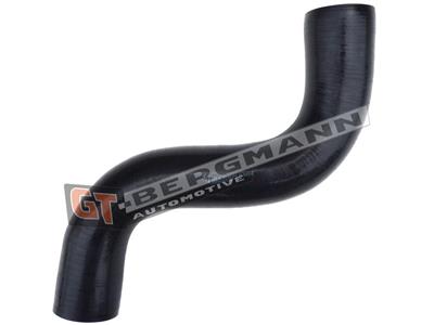 GT BERGMANN GT52-454 EAN: 5907764523965.