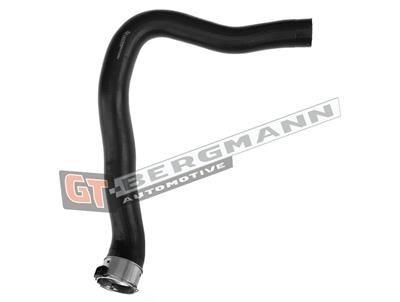 GT BERGMANN GT52-590 EAN: 5907764526331.