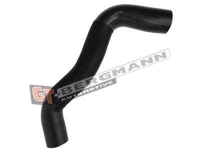 GT BERGMANN GT52-484 EAN: 5907764524443.