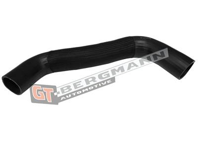 GT BERGMANN GT52-484 EAN: 5907764524443.