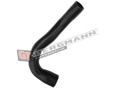 GT BERGMANN GT52-519 EAN: 5907764524849.