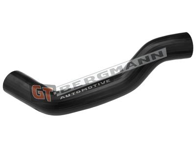 GT BERGMANN GT52-538 EAN: 5907764525037.