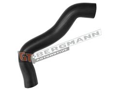 GT BERGMANN GT52-541