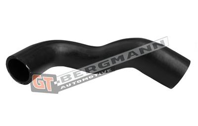 GT BERGMANN GT52-555 EAN: 5907764525204.