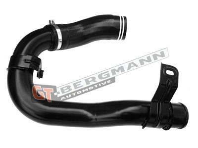 GT BERGMANN GT52-581 EAN: 5907764526096.