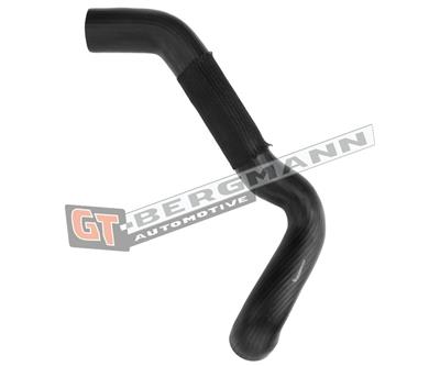 GT BERGMANN GT52-513 EAN: 5907764524764.