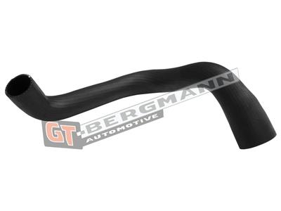 GT BERGMANN GT52-587 EAN: 5907764526300.