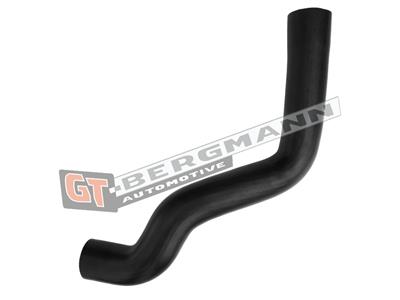 GT BERGMANN GT52-589 EAN: 5907764526324.