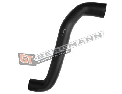GT BERGMANN GT52-591 EAN: 5907764526348.