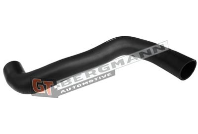 GT BERGMANN GT52-591 EAN: 5907764526348.