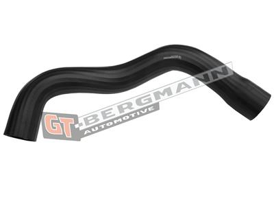 GT BERGMANN GT52-599 EAN: 5907764526423.