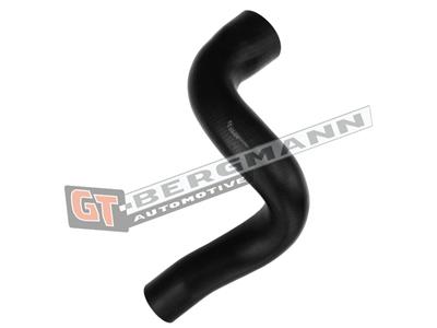 GT BERGMANN GT52-607 EAN: 5907764526508.