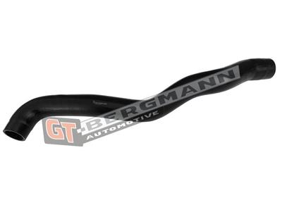 GT BERGMANN GT52-651