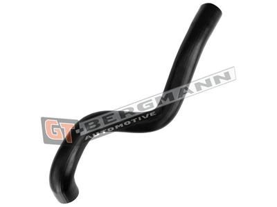 GT BERGMANN GT52-655