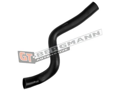 GT BERGMANN GT52-655