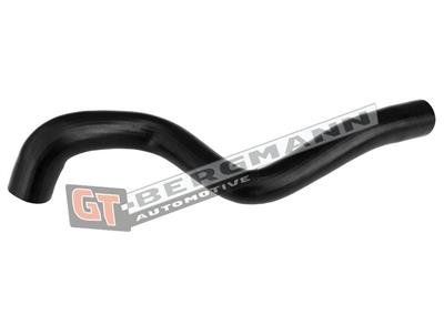 GT BERGMANN GT52-655