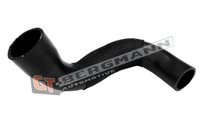 GT BERGMANN GT52-665 EAN: 5907764528144.