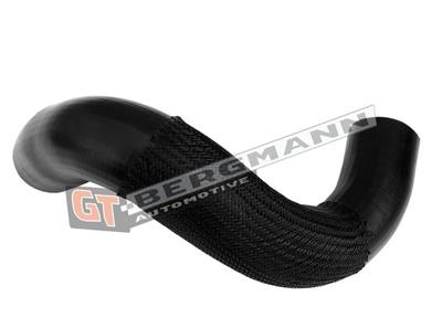 GT BERGMANN GT52-665 EAN: 5907764528144.