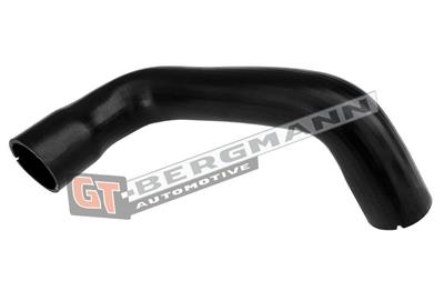 GT BERGMANN GT52-675 EAN: 5907764528243.