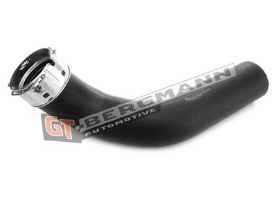 GT BERGMANN GT52-713 EAN: 5907764529035.