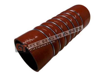 GT BERGMANN GT52-756
