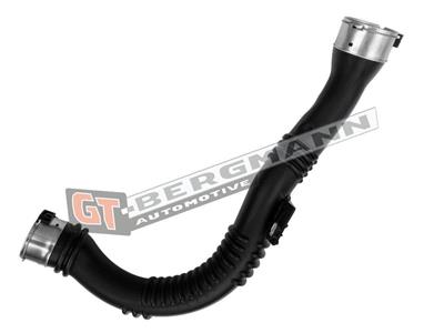 GT BERGMANN GT52-773