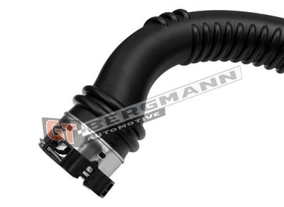 GT BERGMANN GT52-773