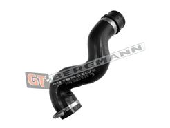 GT BERGMANN GT30-012