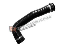 GT BERGMANN GT52-780