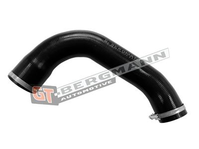 GT BERGMANN GT52-785