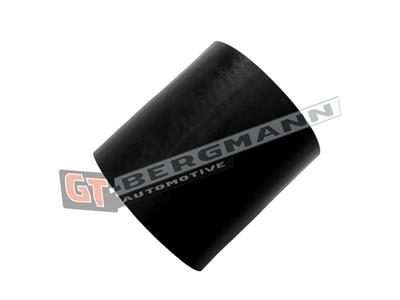 GT BERGMANN GT52-789 EAN: 5907764531212.