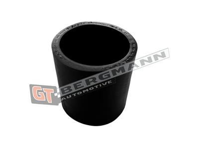 GT BERGMANN GT52-789 EAN: 5907764531212.